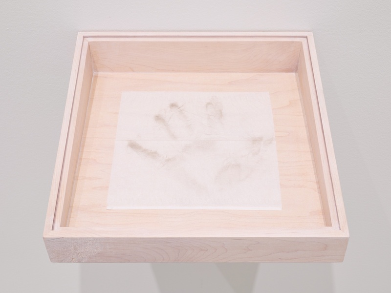 Imprint of a human hand on paper in a display case